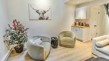 Smart TV, chimenea y libros