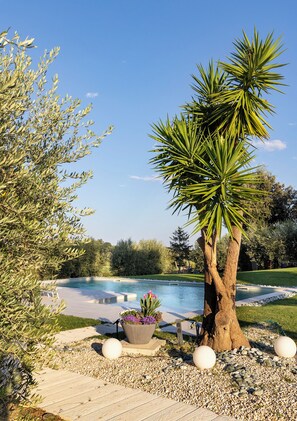 Poolbereich mit Palme, Holzterrasse und Garten mit Kies und Topfpflanze.