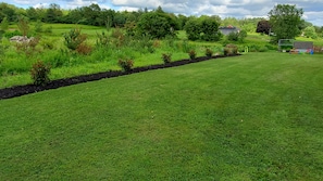 A well-maintained grassy field with a black mulch border, surrounded by lush greenery and trees.