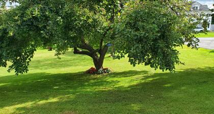 Cozy 2 Bedroom Apartment- Lovely Country Setting