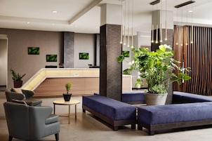 A modern lobby with a reception desk, seating area, and potted plants.
