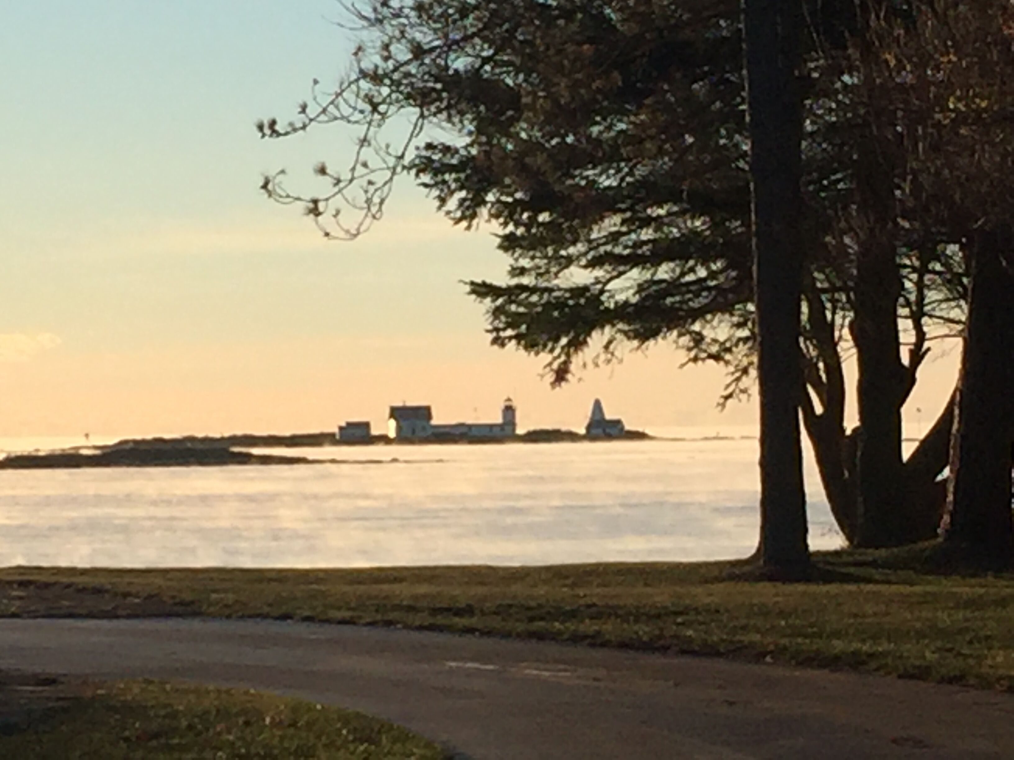 A coastal path with trees and a distant view of buildings across the water.