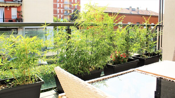A balcony with potted plants, a wicker chair, and a glass table. - Appartamento Stella – spazioso e moderno, vicino al centro di Bergamo (Bergamo)