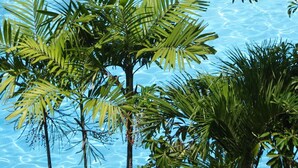 Basseng