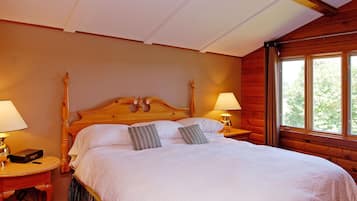 1 chambre, fer et planche à repasser, accès Internet