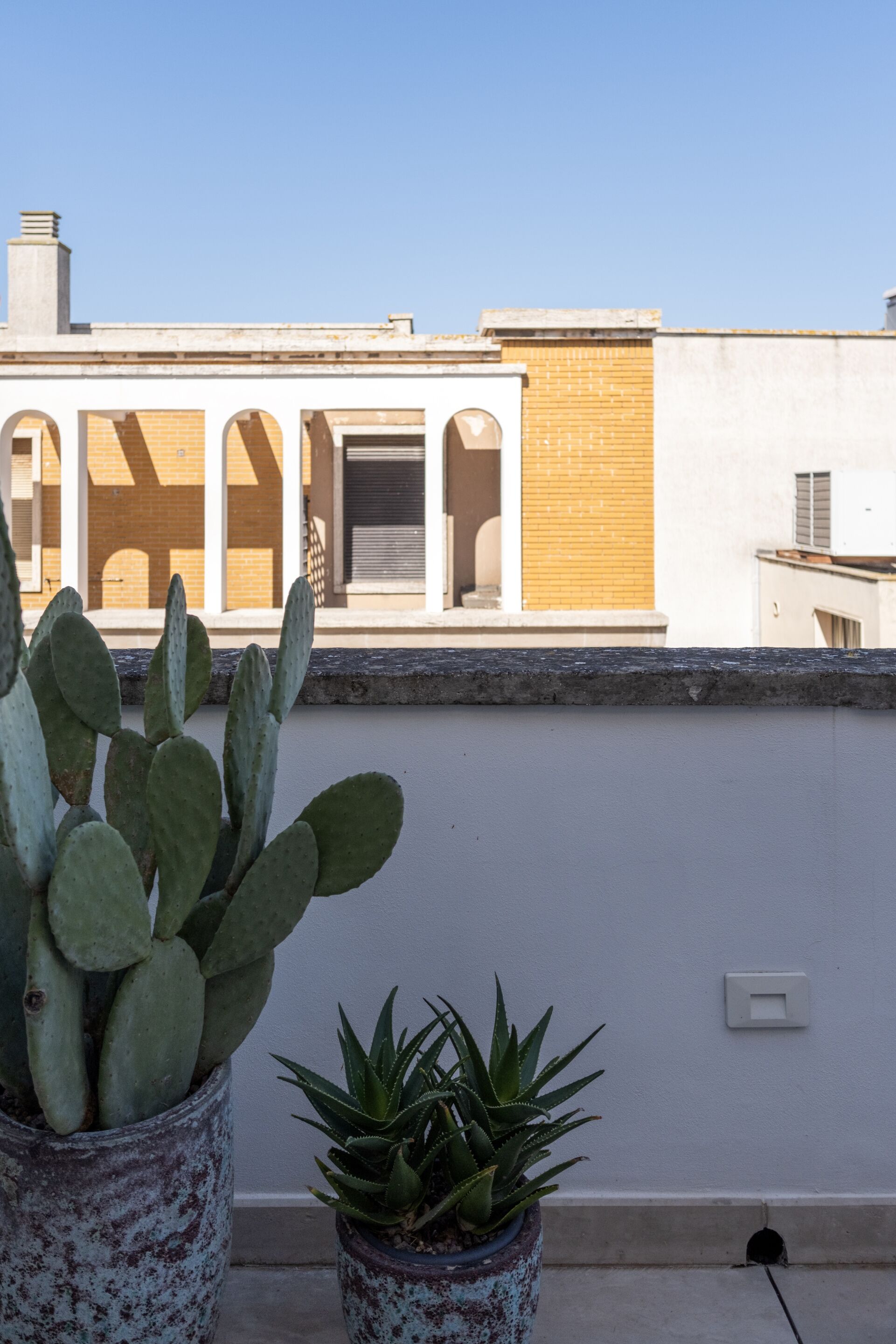Una azotea con dos cactus en macetas y un edificio con fachada blanca y ventanas arqueadas.