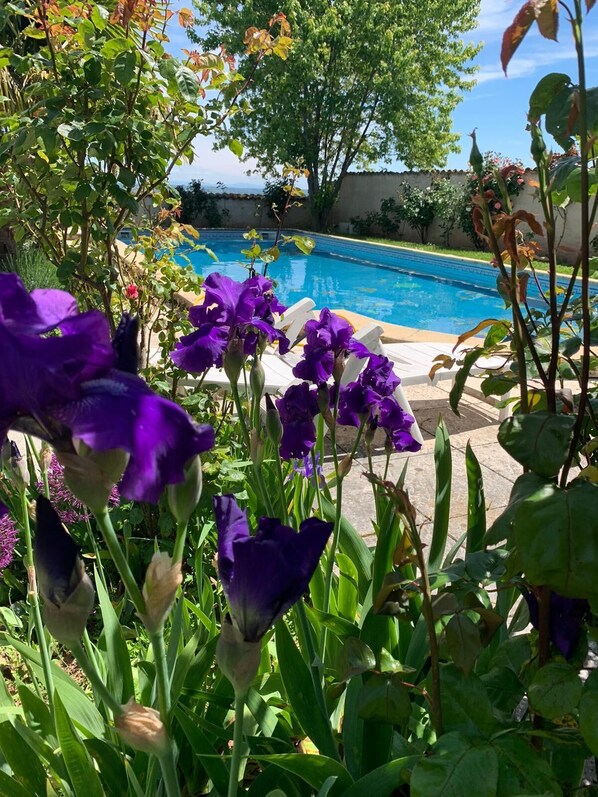 Een verwarmd zwembad