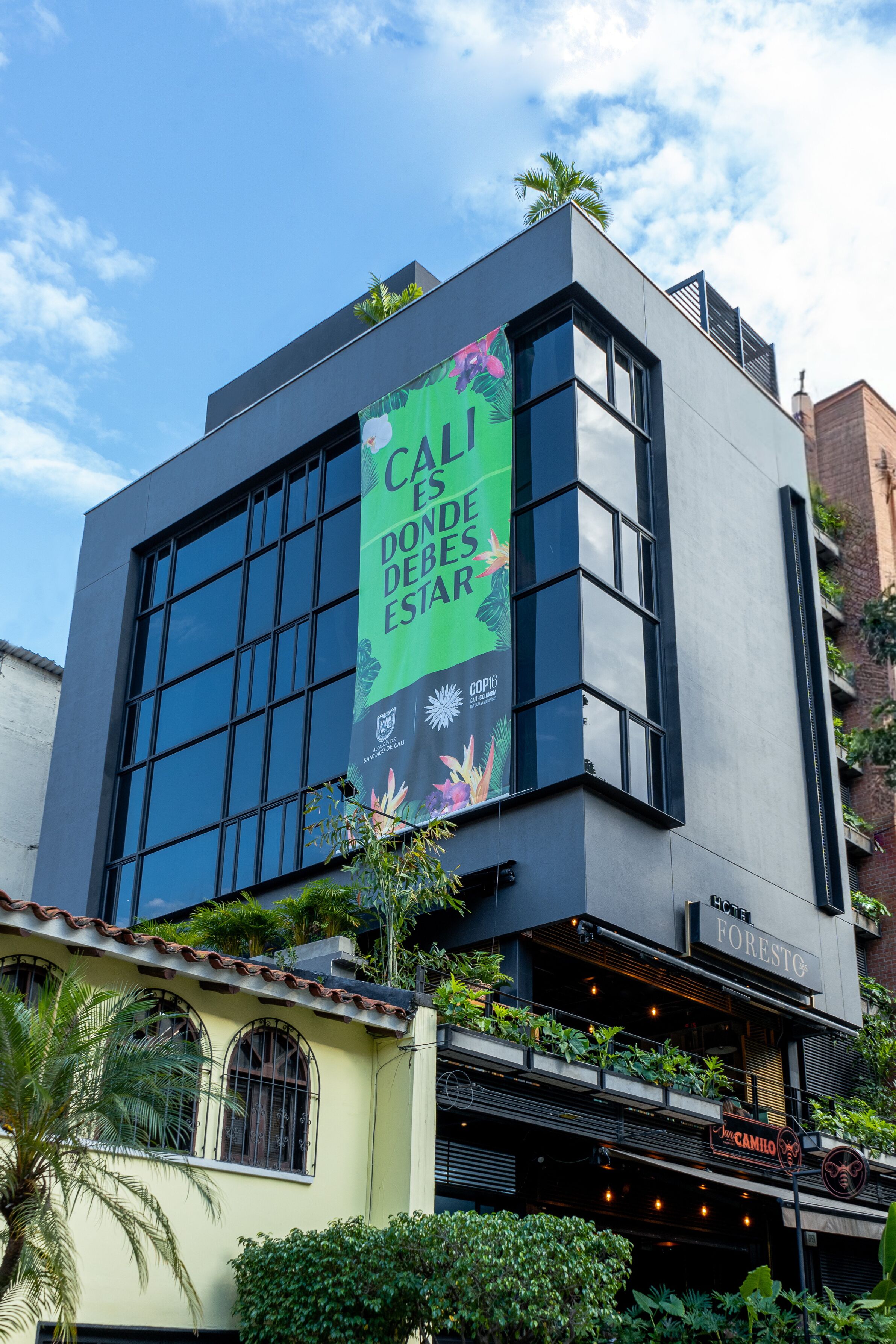 Foto - Hotel Foresto 365