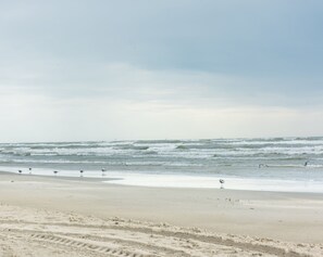 Una playa cerca