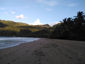 Serviettes de plage