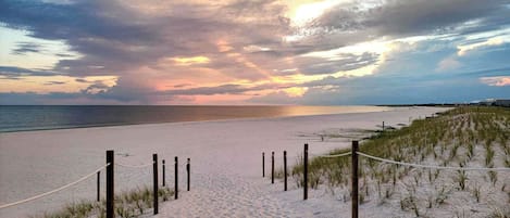 Nära stranden