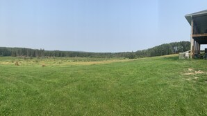 Ein grünes Feld mit einem Gebäude links und einer Überdachung rechts.
