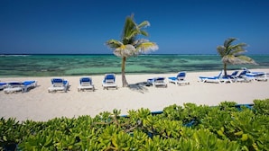 Ein Strand mit weißem Sand, klarem türkisblauem Wasser und in Reihen angeordneten blauen Liegestühlen.