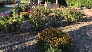 A garden with rose bushes and a gazebo. - Luxury Casita at Desert Estate in Scottsdale (Scottsdale)