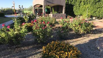 Terrain de l’hébergement