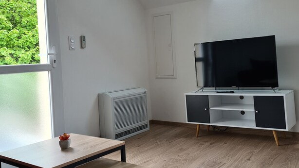 Un salon moderne doté d’une lucarne, d’un téléviseur à écran plat, d’un meuble de rangement noir et blanc, d’un canapé rouge et d’une petite table sur laquelle est posée une plante.