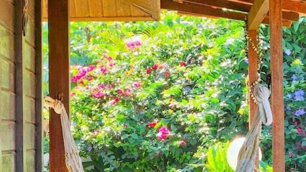 Una hamaca colgada entre pilares de madera sobre una terraza de madera, con vistas a un exuberante jardín con diversas plantas y flores.