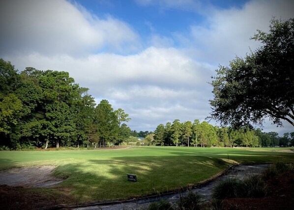 Campo de golf con un cartel que indica 'NO Carts', rodeado de árboles densos y un cielo despejado.