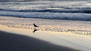 A beach scene with waves at sunset.