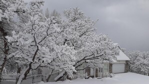 Un quartier résidentiel enneigé, avec une maison et des arbres.