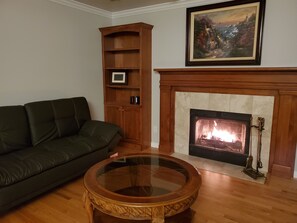 Smart TV, fireplace, books