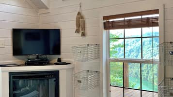 Televisión, chimenea, reproductor de DVD y libros