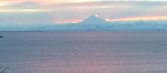 308 Moose Unit -  Kenai Minutes from downtown and two blocks to the Beach!
