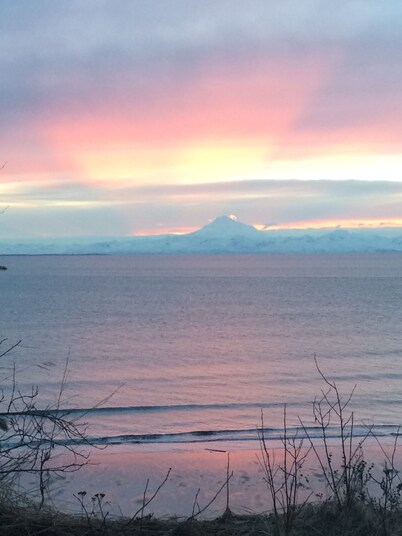 308 Moose Unit -  Kenai Minutes from downtown and two blocks to the Beach!