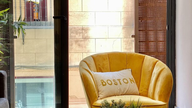 Ein gelber Sessel mit einem Kissen, auf dem Boston steht, in einem Zimmer mit einem großen Fenster, einem Blumentopf und Blick auf ein Gebäude.