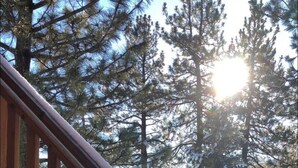 A wooden staircase with snow-covered steps leading to a deck, surrounded by tall pine trees and a clear sky.