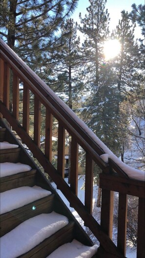 Property grounds - Book Your Big Bear Ski Vacation at Serenity Peak, Upper Moonridges' Finest (Big Bear City)