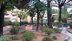 Une cour intérieure agrémentée d’arbres, d’un élément décoratif aquatique et d’un bâtiment doté de balcons en arrière-plan.