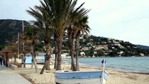 Une plage bordée d’une rangée de palmiers, un petit bateau et, au loin, une colline parsemée de bâtiments.