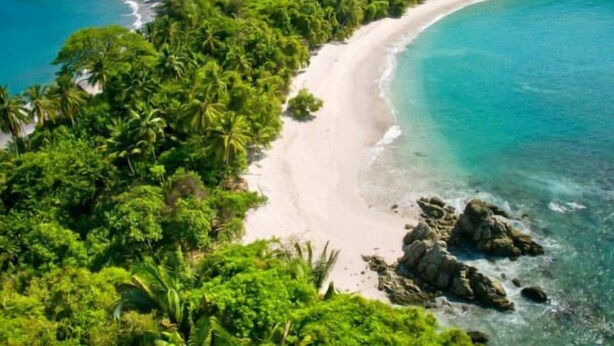 A beach with dense tropical vegetation and clear turquoise waters. - Breathtaking Ocean Vistas, Jungle Bliss, Walk to Eateries & Beach, Fast Internet (Manuel Antonio)