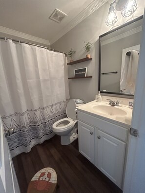 Une salle de bain équipée d’un rideau de douche, de toilettes, d’un lavabo et d’un miroir.