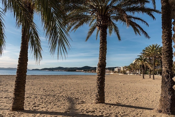 Playa en los alrededores