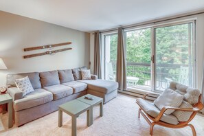 TV, DVD player, video library