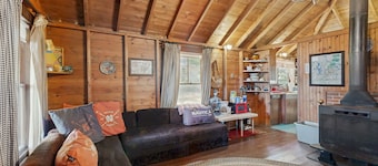Rustic, dog-friendly lakefront cabin w/ gorgeous lake views and private W/D
