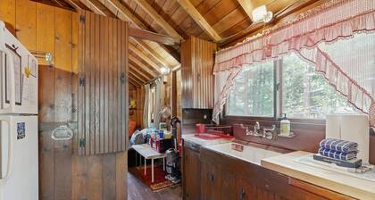 Rustic, dog-friendly lakefront cabin w/ gorgeous lake views and private W/D