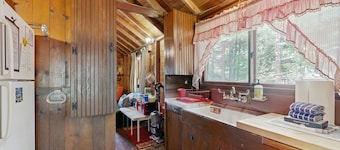 Rustic, dog-friendly lakefront cabin w/ gorgeous lake views and private W/D