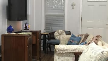 TV, DVD player, video library