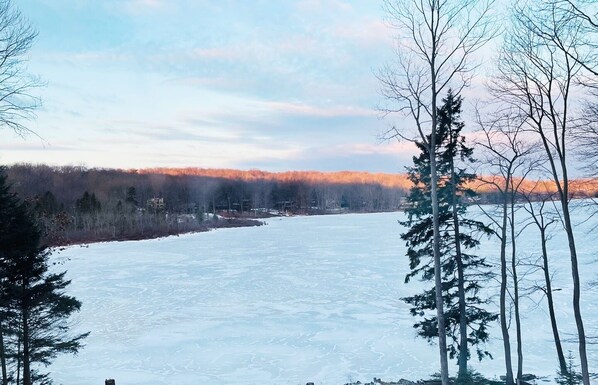 Un lac gelé, avec des arbres au premier plan et une forêt en arrière-plan.
