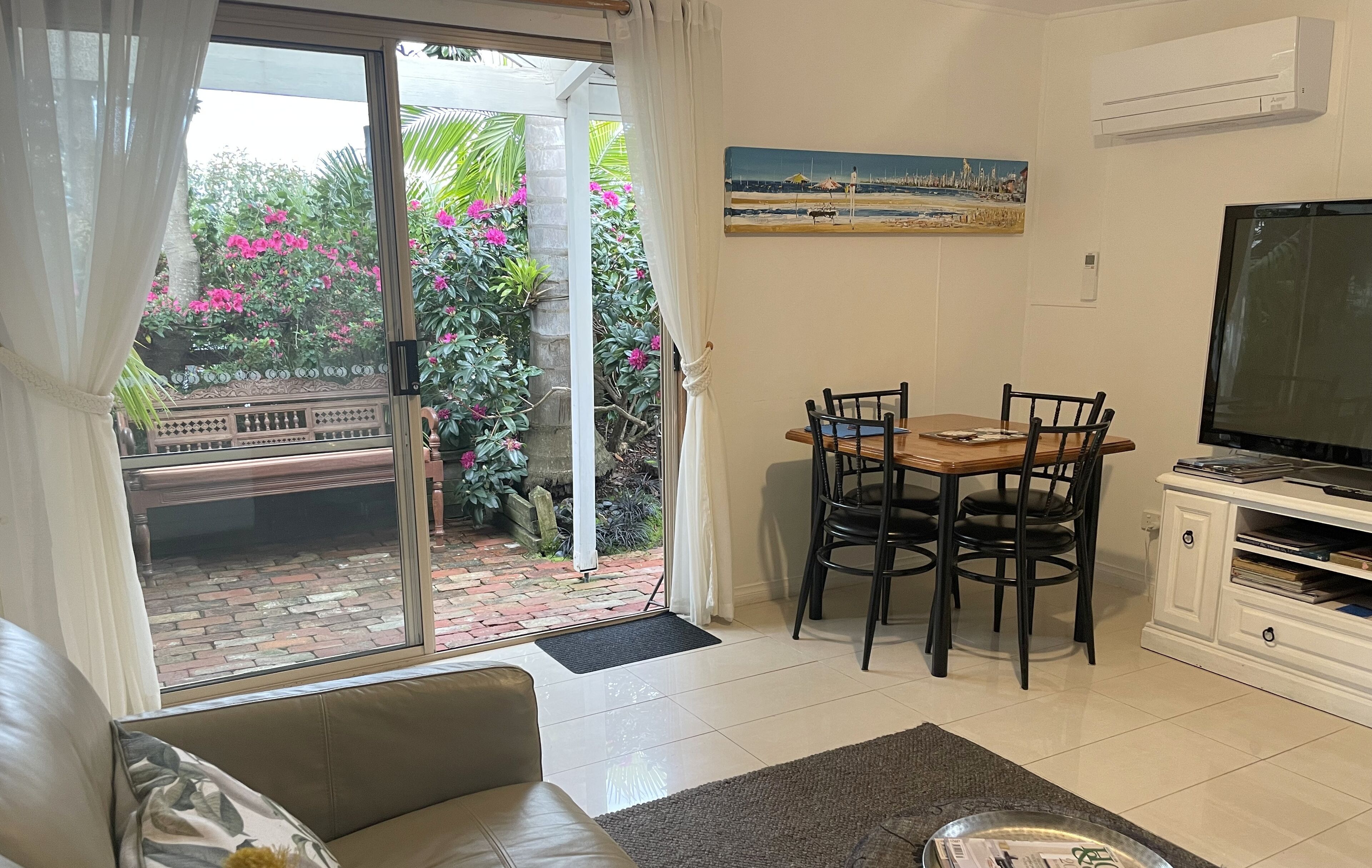 Smart TV, DVD player, books