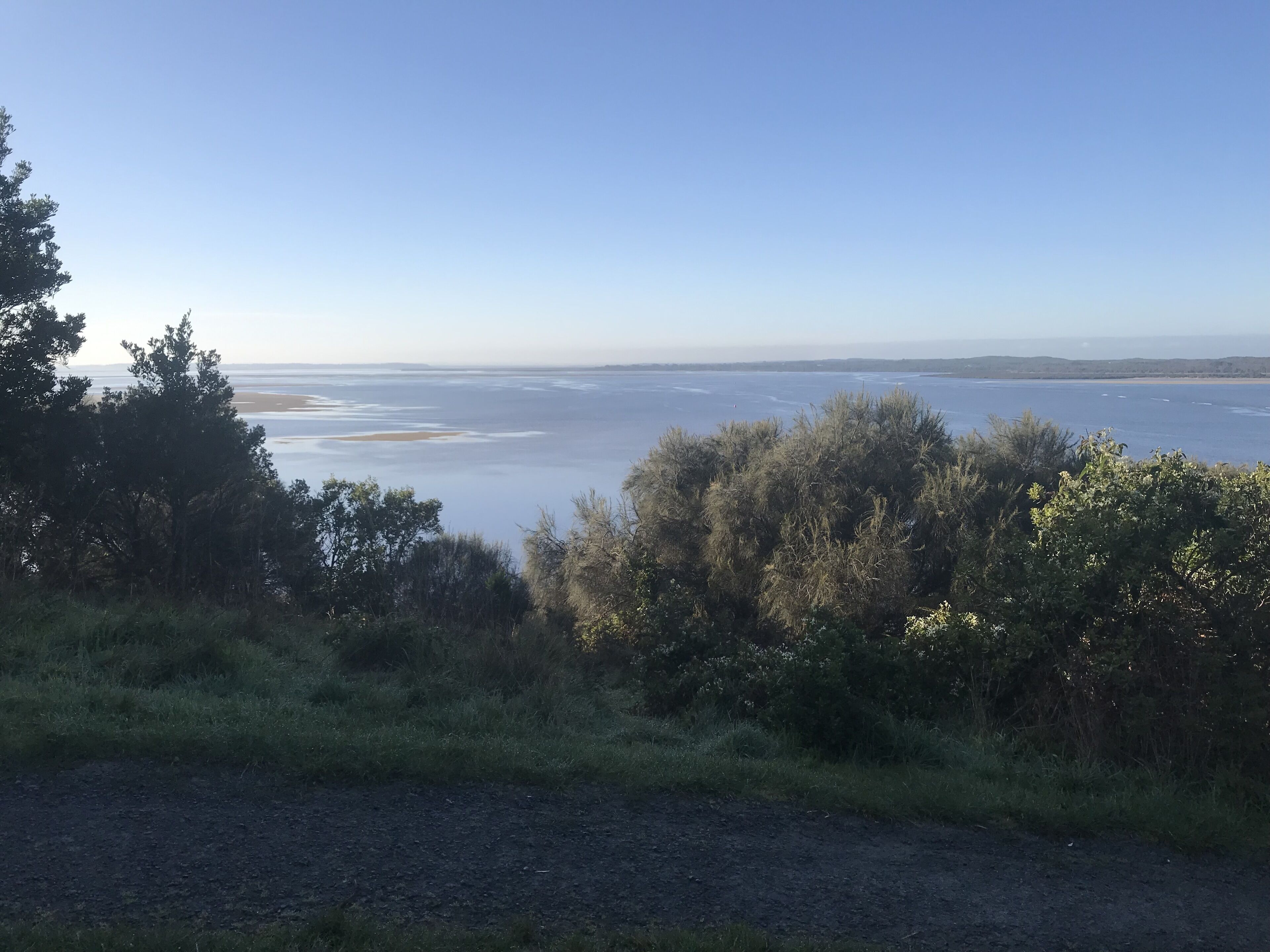 Paisaje costero con vegetación densa y una vista despejada del mar.