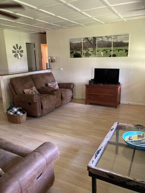 TV, DVD player, video library - Family Friendly Farmhouse (Mena)