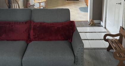 Single bedroom upstairs apartment close to Hillsdale College