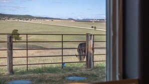 Blick aus dem Fenster auf eine ländliche Landschaft mit einer weidenden Kuh, einem Zaun und einer Lampe im Vordergrund.
