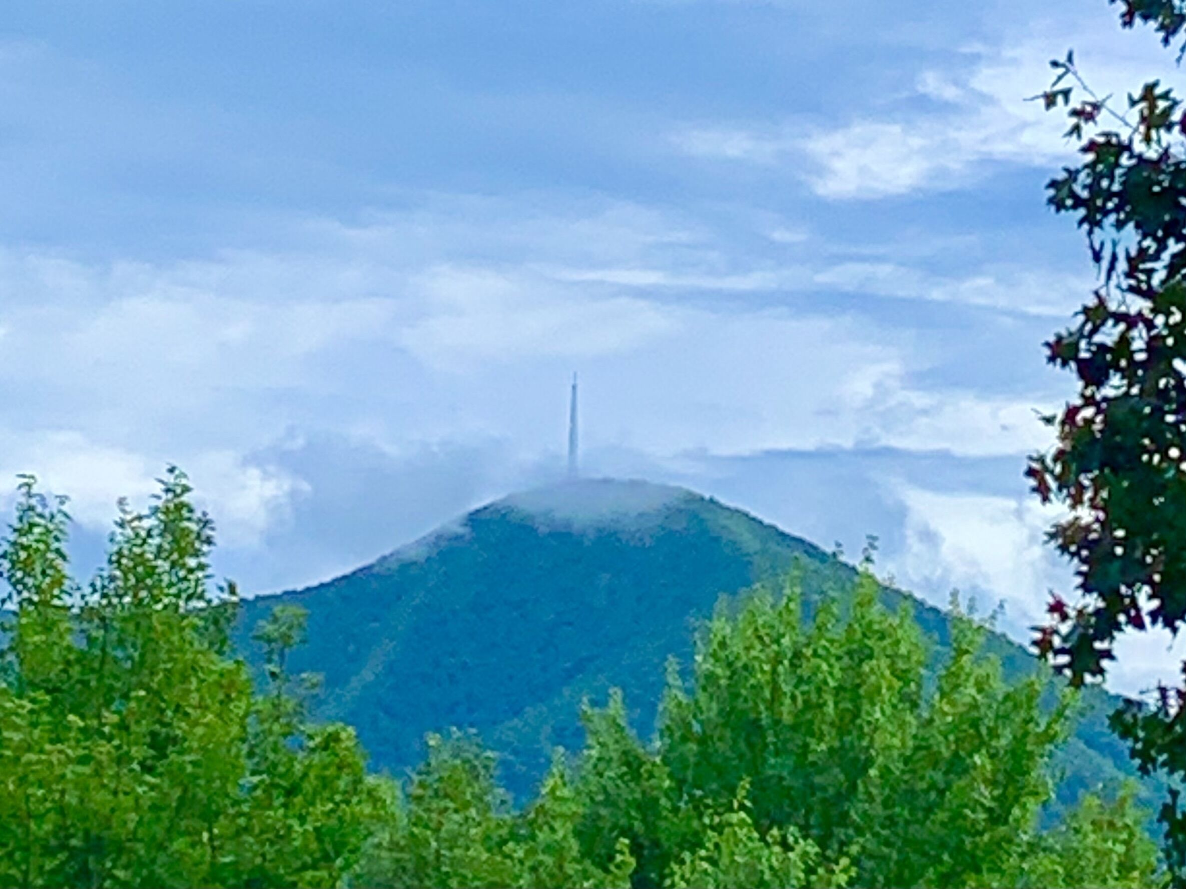 Adorable Mountain Cabin near Asheville