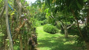 Un jardin luxuriant, avec une grande variété de plantes et d’arbres, un chemin bien tracé et une structure en bois.