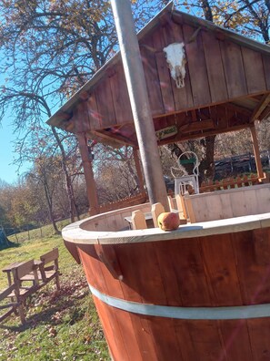 Room, 1 Bedroom, Smoking, Patio | Property grounds - Room in Guest Room - Healthy Retreat Holiday in Mountain (Rosia Montana)